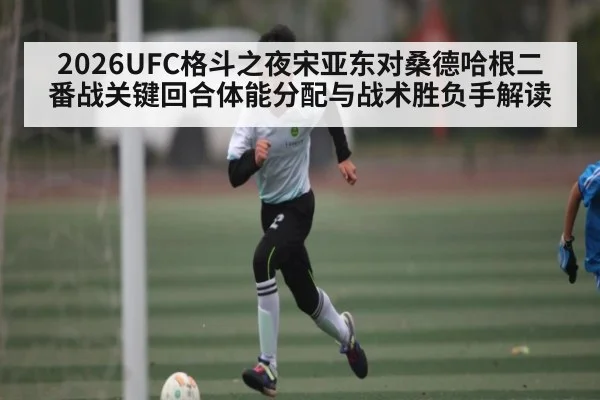 2026UFC格斗之夜宋亚东对桑德哈根二番战关键回合体能分配与战术胜负手解读